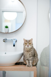 Similar image 21274349