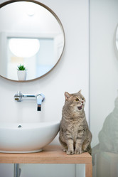 Similar image 21274350