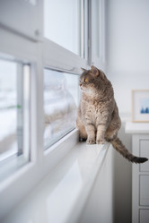 Similar image 21274351