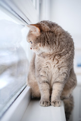 Similar image 21274352