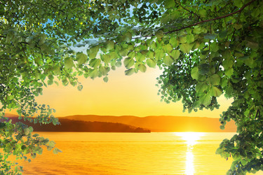 Similar image 21271137