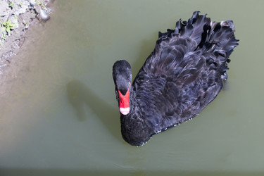 Similar image 21271143