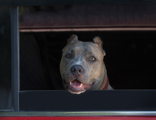 Similar image 21271147