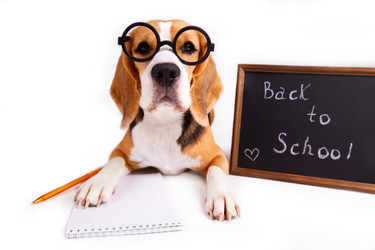 Similar image 21287519