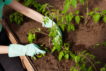 Similar image 21289770