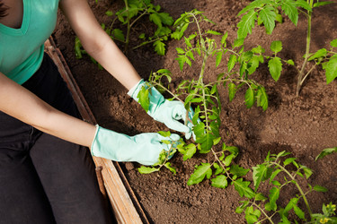 Similar image 21289772