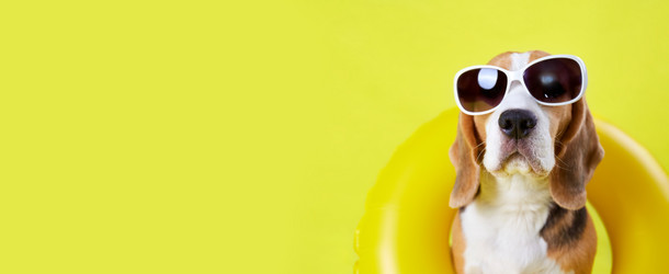 Similar image 21289774