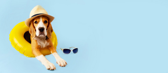 Similar image 21287524