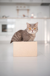 Similar image 21269804