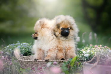 Similar image 21269805