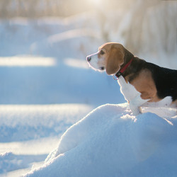 Similar image 21269807