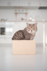 Similar image 21269808