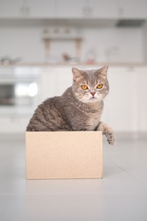 Similar image 21269810