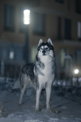 Similar image 21269813