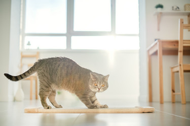 Similar image 21269815