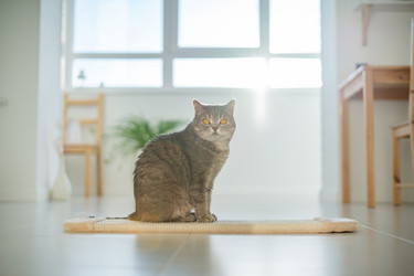 Similar image 21269817