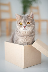 Similar image 21269818