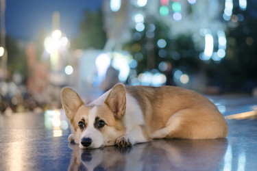 Similar image 21269819