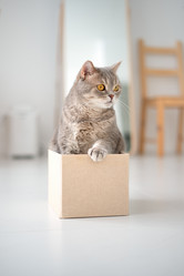 Similar image 21269820