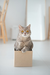 Similar image 21269822