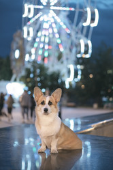 Similar image 21269823