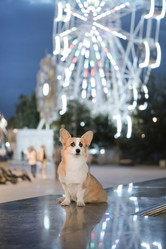 Similar image 21269825