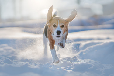 Similar image 21269827