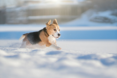 Similar image 21269829