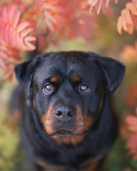 Similar image 21270040