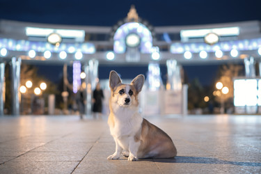 Similar image 21270041