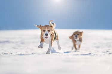 Similar image 21270044