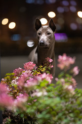 Similar image 21270054