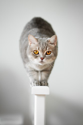 Similar image 21270055