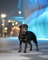 Similar image 21270056