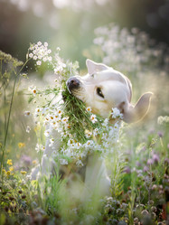 Similar image 21270058