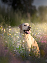 Similar image 21270062