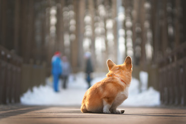 Similar image 21270067