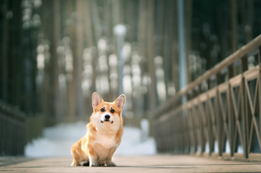 Similar image 21270069