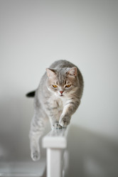 Similar image 21270072