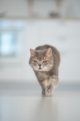 Similar image 21270074