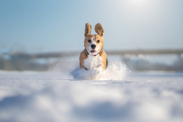 Similar image 21270075