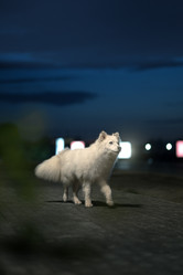 Similar image 21270076