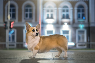 Similar image 21270077