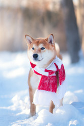 Similar image 21270079