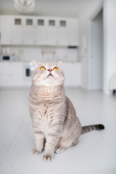 Similar image 21270080