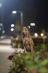 Similar image 21273967