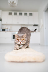 Similar image 21273969