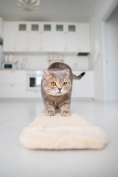 Similar image 21273971