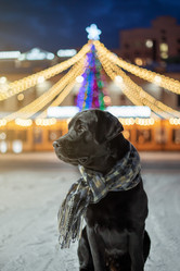 Similar image 21273976