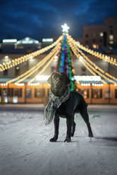 Similar image 21273978